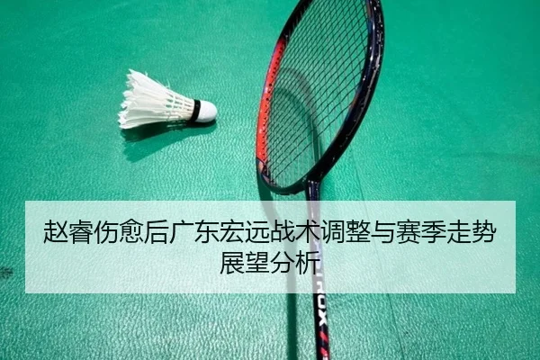 赵睿伤愈后广东宏远战术调整与赛季走势展望分析